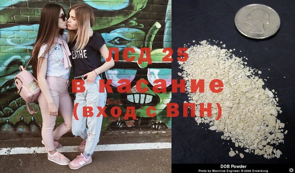 твердый Зерноград