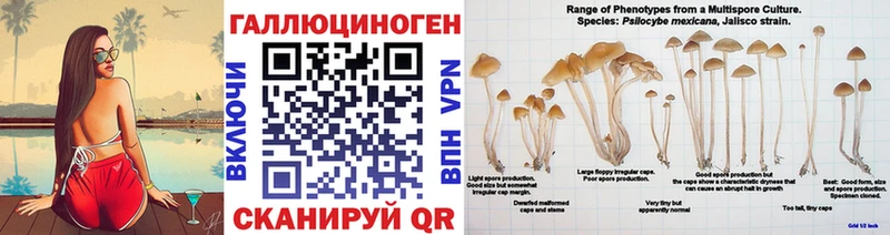 ОМГ ОМГ tor  Кандалакша  Галлюциногенные грибы ЛСД 