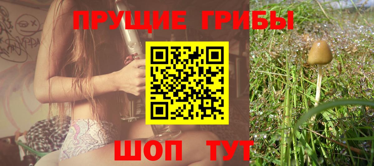 Галлюциногенные грибы мицелий  Псилоцибиновые грибы прущие грибы  Кандалакша  Вход с VPN 