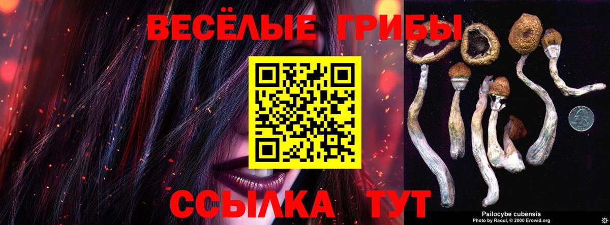 Псилоцибиновые грибы MAGIC MUSHROOMS Кандалакша